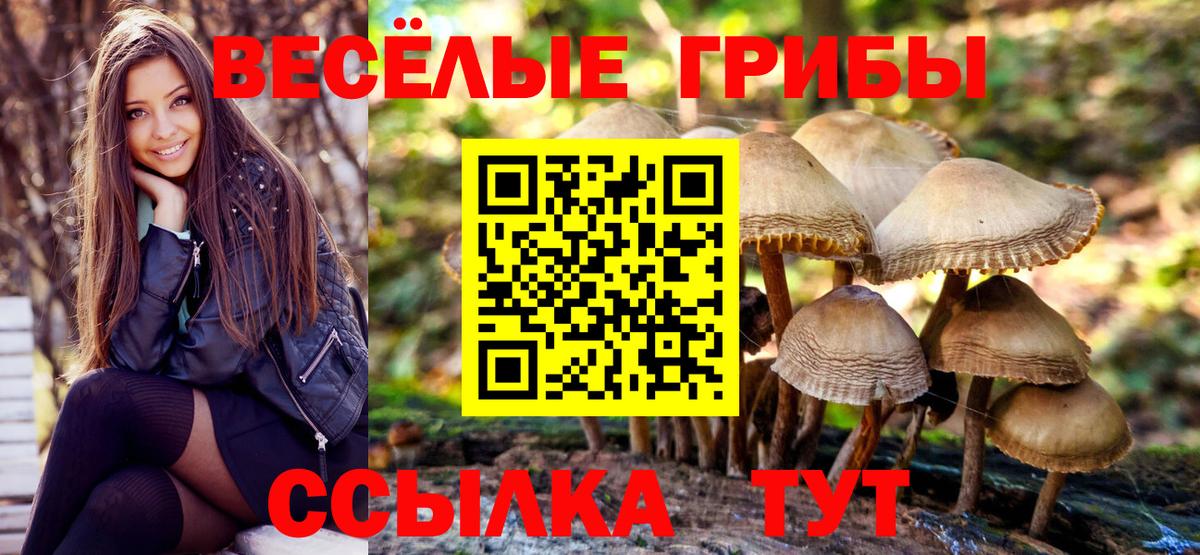Псилоцибиновые грибы мицелий Подольск